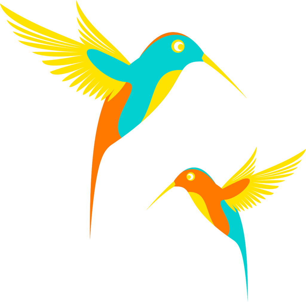 La legende du Colibri - Estelle Savarsson